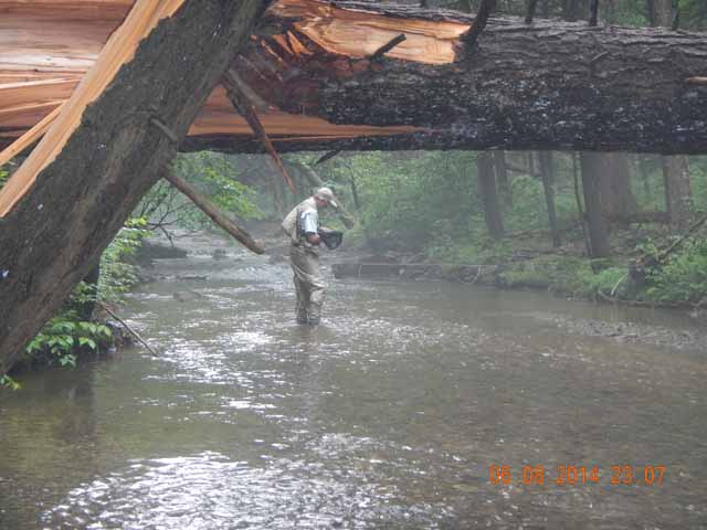 fowlers hollow.Laural run 06-09-14 038.jpg -                                